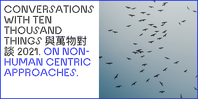 IAD Process Class x Conversations with Ten Thousand Things – On Non-Human Centric Approaches
