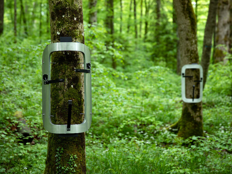 Dialoguing with Ecologies