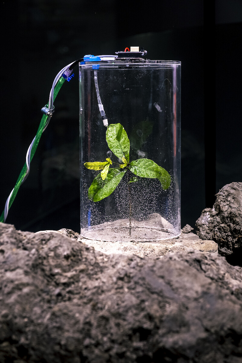 Biodesign Challenge 2021