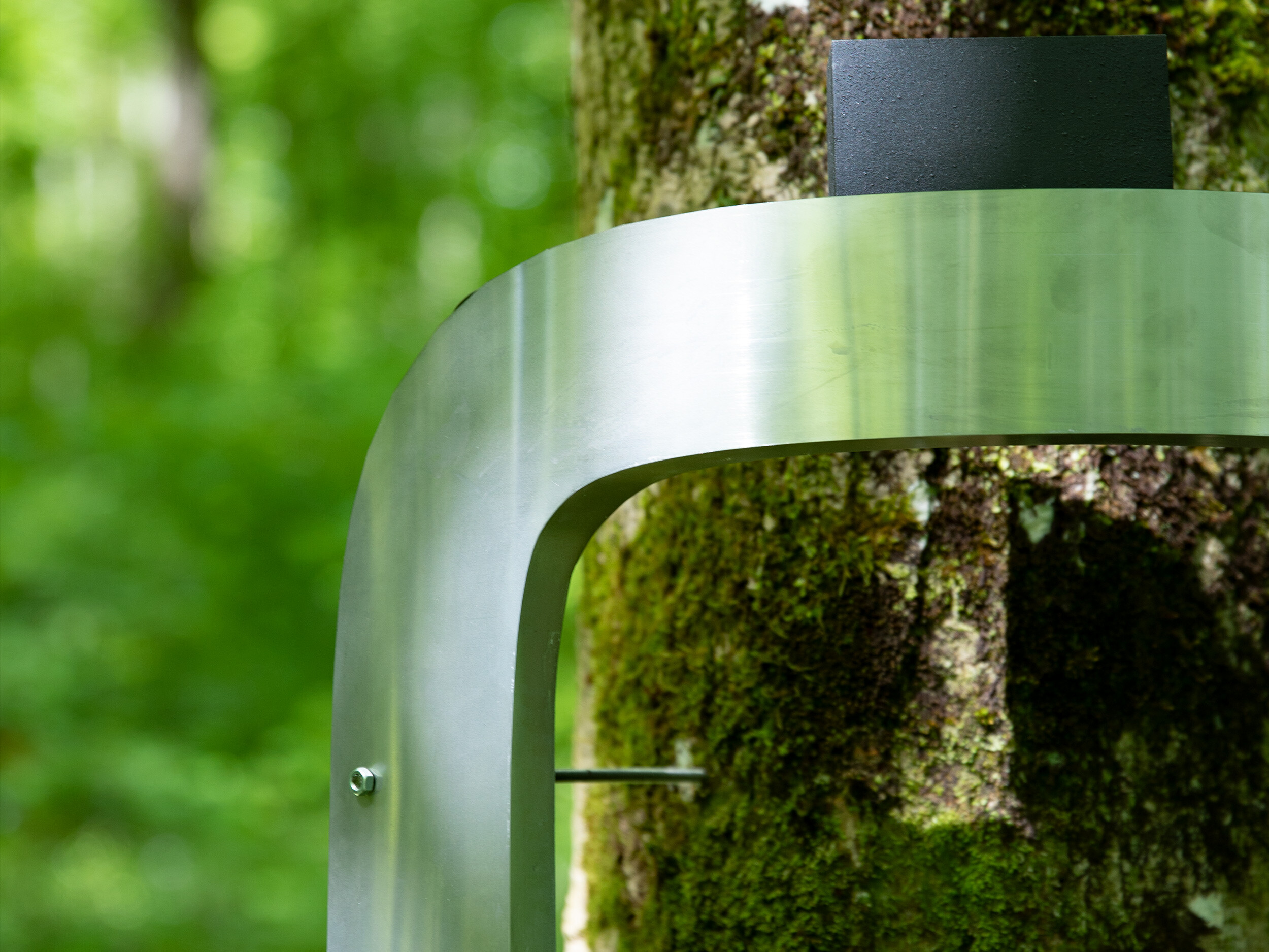 Dialoguing with Ecologies