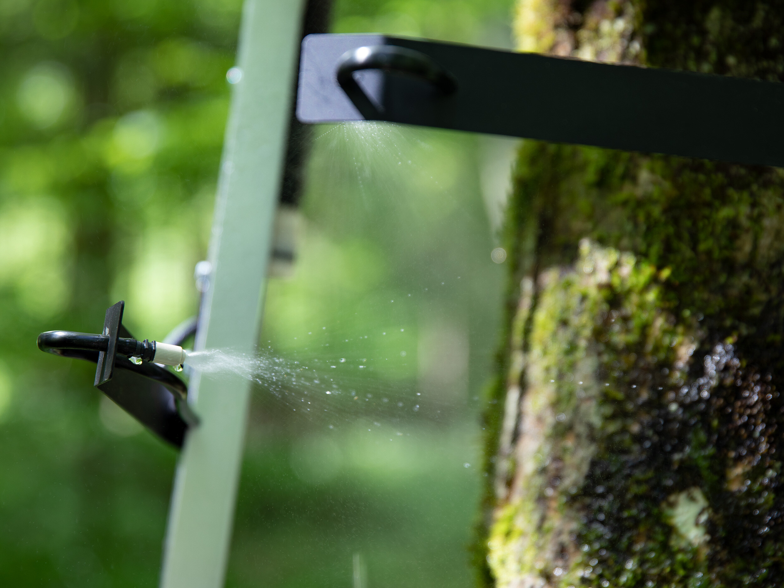 Dialoguing with Ecologies