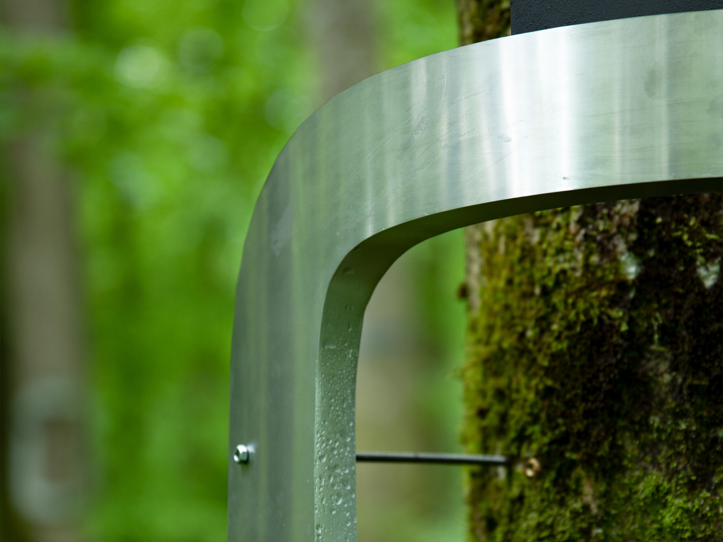 Dialoguing with Ecologies