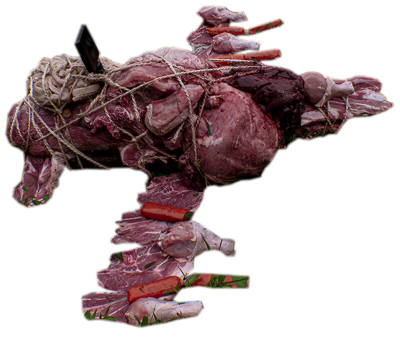 Warplanes for Vultures – the failure of Art or Science to stop endless collateral damage, interspecies enrichment, sympathetic magick, eating the war machine, eaten by vultures during “Animal and Other Non-Human Enrichment in Parks and Preserves (Seeking Provisioning Advice)”, Bambi Seminar, Smithsonian Tropical Research Institute, Panama, 2019.