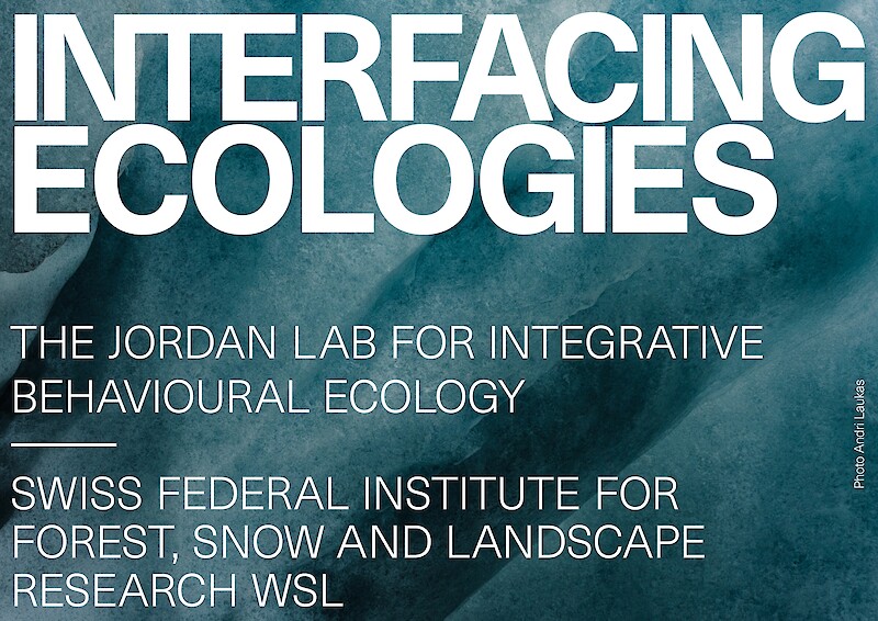Interfacing Ecologies Lecture Series || Jordan Lab & WSL || 17 & 18 January 2022