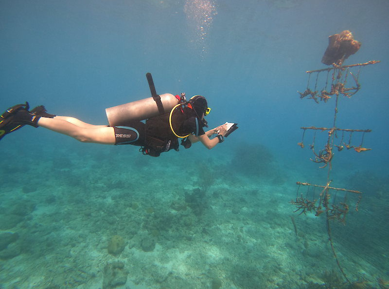 Rasa Weber: Designing (in/with) the Ocean || Sustainability Science Dialogue || Thu 10.03.2022