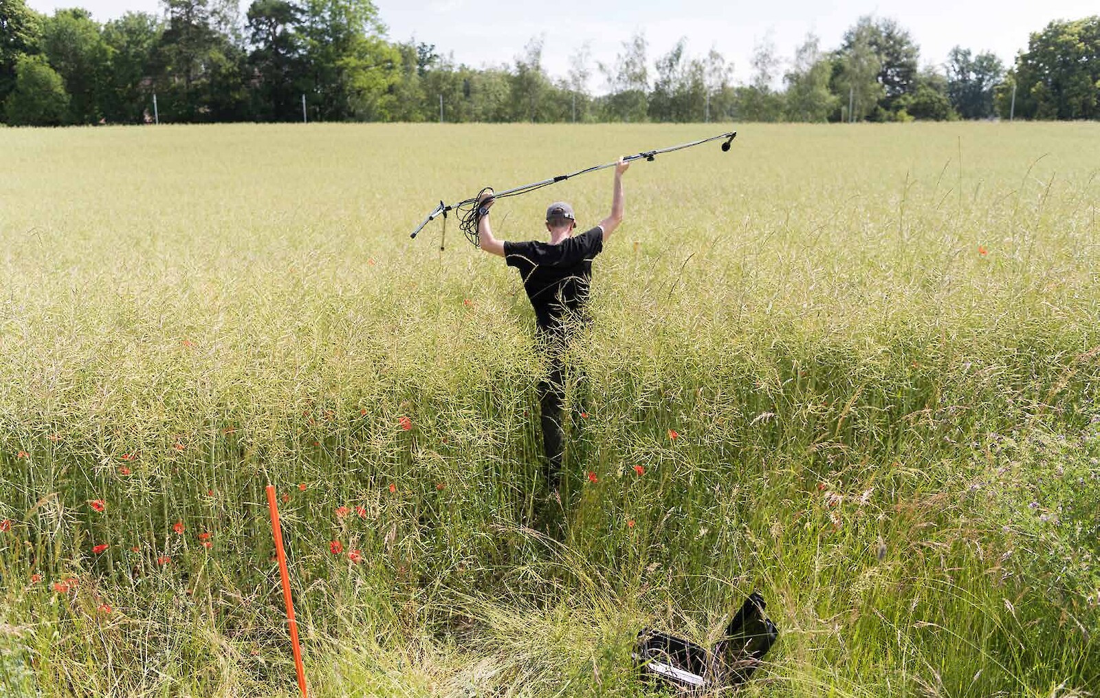 Photo Credit: Marcus Maeder