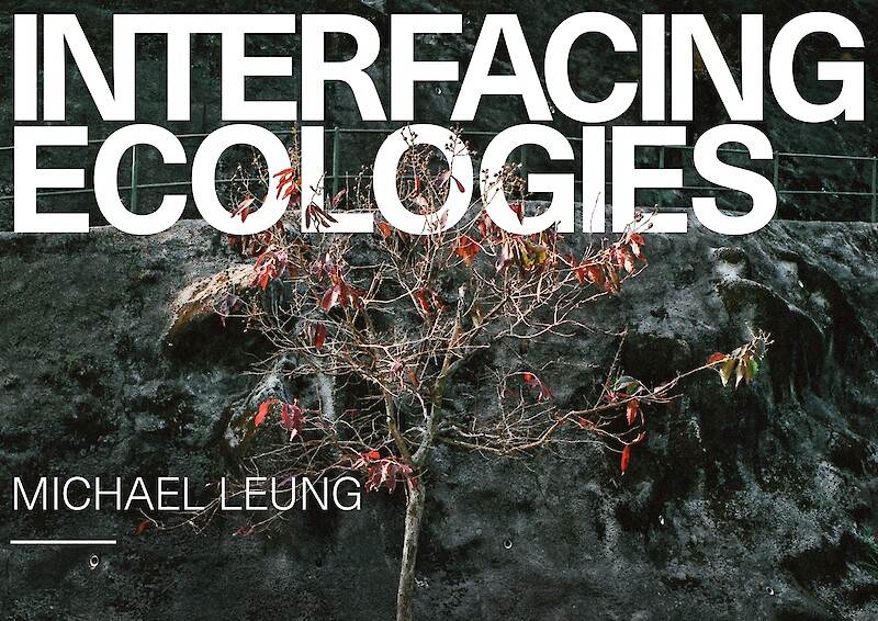 Interfacing Ecologies Lecture Series || Michael Leung || 31 May 2022