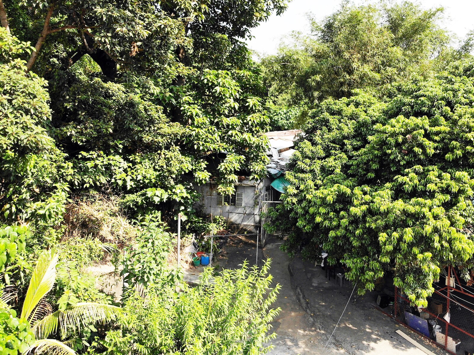 Village House in Yeung Uk San Village, Michael Leung