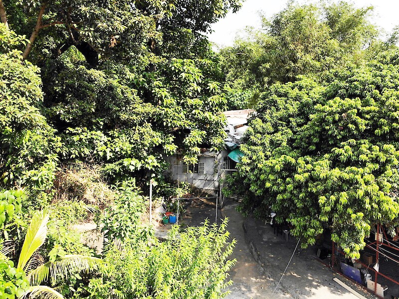 Village House in Yeung Uk San Village, Michael Leung