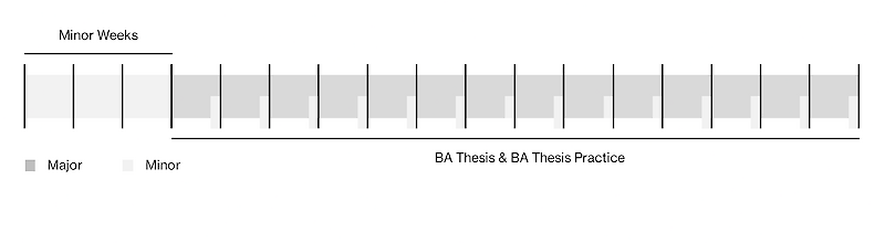 BA Major Courses