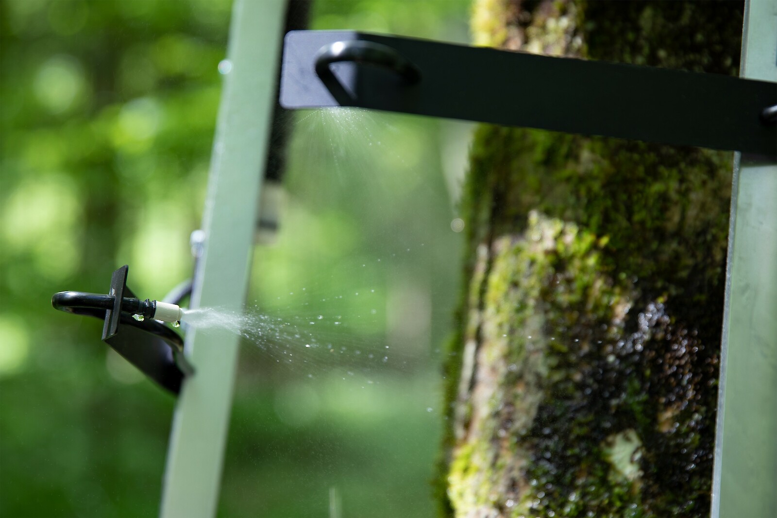 «Dialoguing with Ecologies» von Andreas Bütler & Fabian Frey