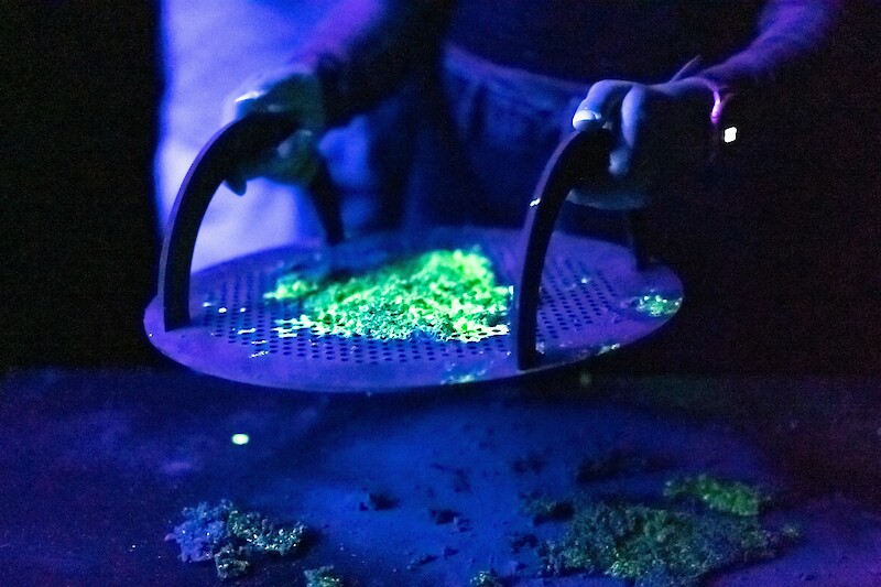 «GLOWING WORLD» by Nanthatchaporn Janthasom, Lyvia Muniz, Giovanna León