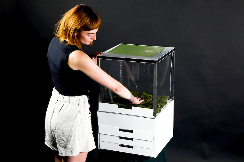 Spatial Interaction 22: Metabolic perspective on/in space