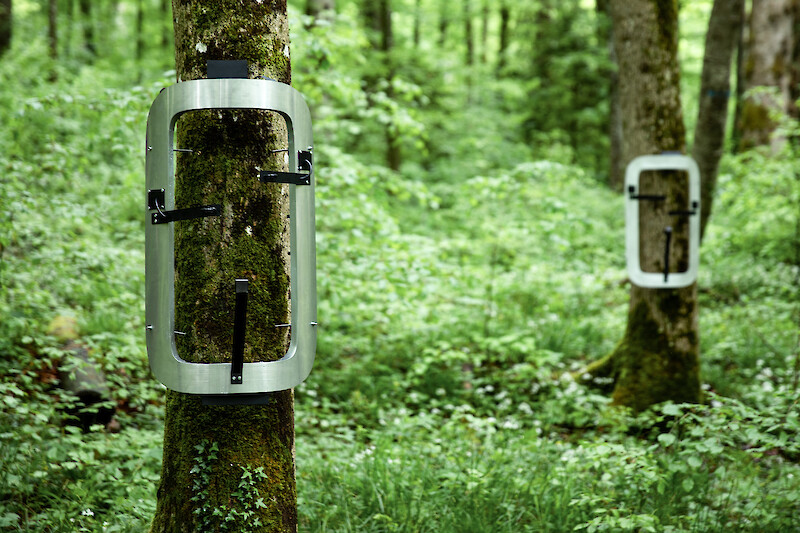 Dialoguing with Ecologies. Andreas Bütler, Fabian Frey. BA Thesis Project, 2021.