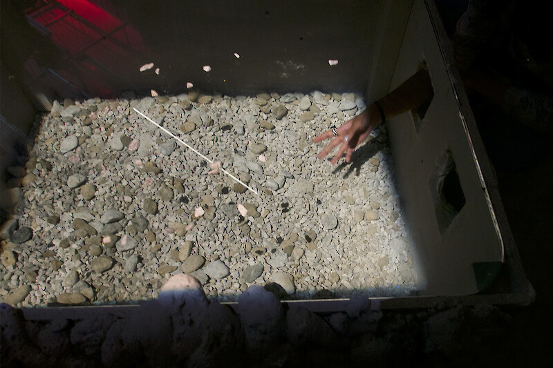 Soft Architecture 22: Temporary Spaces