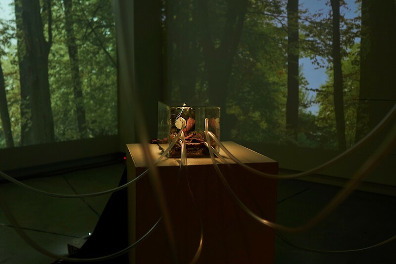 Object Experience 22: Light as Matter