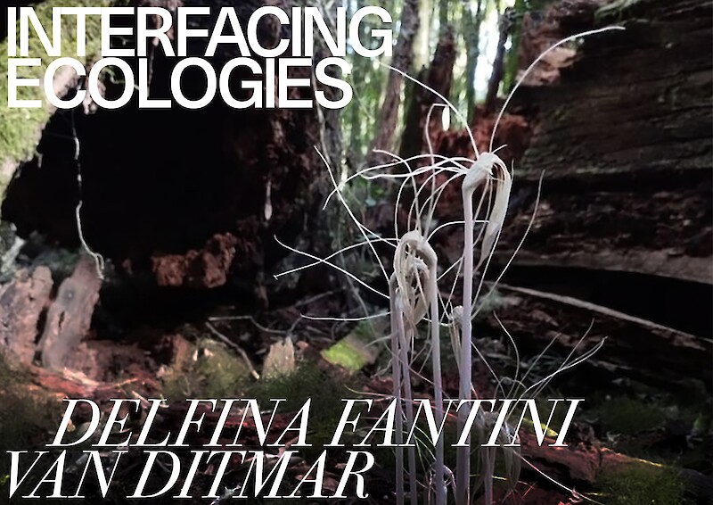 Interfacing Ecologies Lecture Series || Delfina Fantini van Ditmar || 28 March 2023
