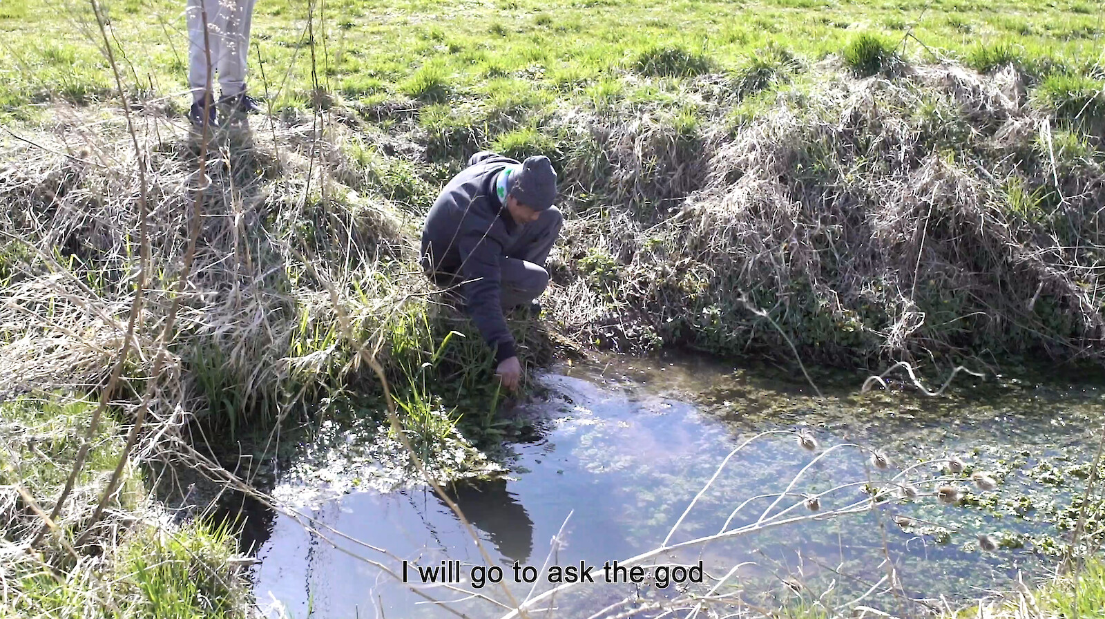 Vietnamese Immigrating Garden. Kassel. 2022 Tuan Mami