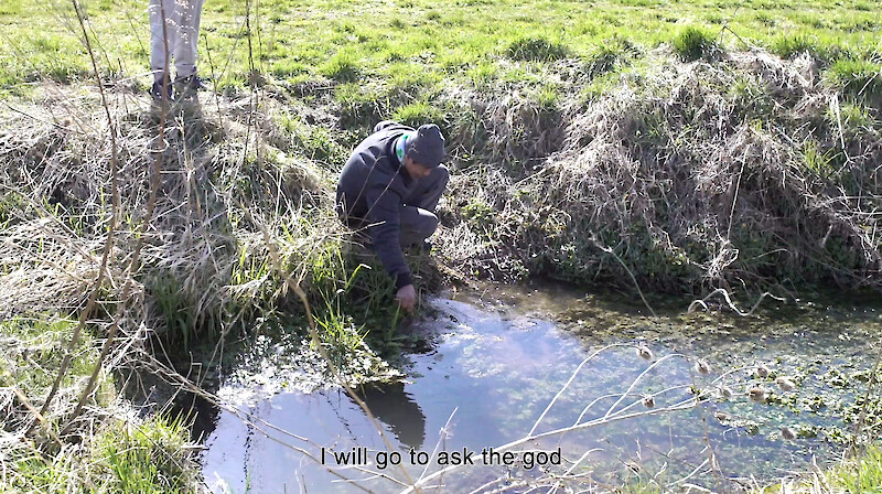 Vietnamese Immigrating Garden. Kassel. 2022 Tuan Mami