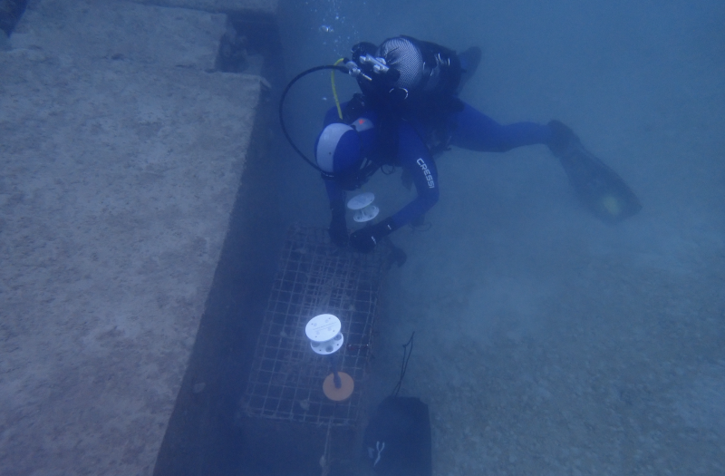Interfacing the Ocean