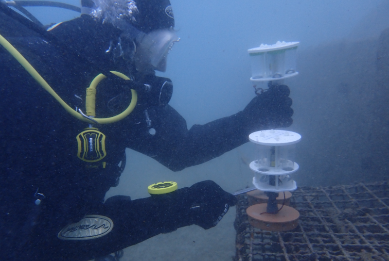 Images by Roman Kirschner and Karmen Franinovic, 2024