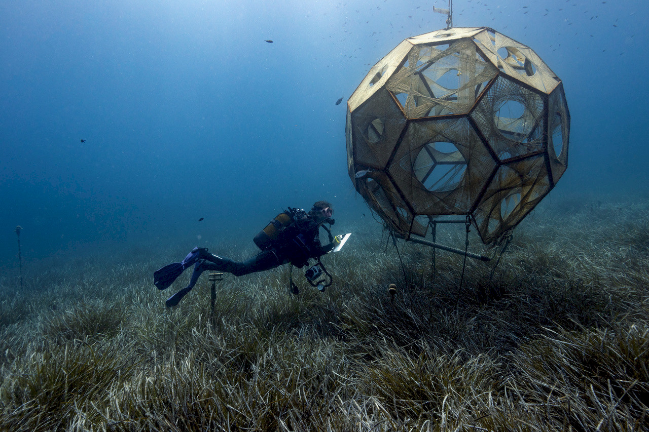 Interfacing the Ocean