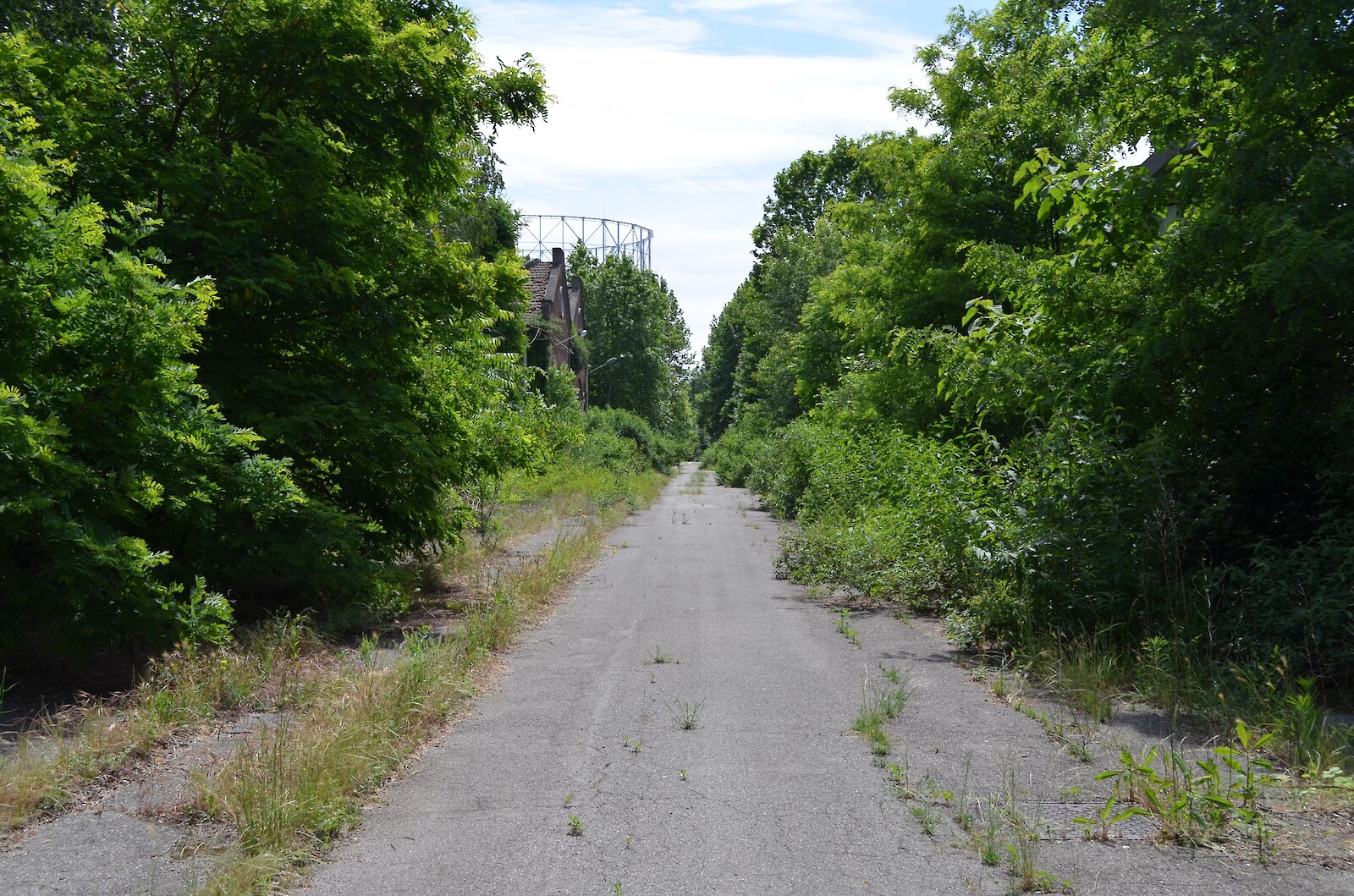 Interfacing Ecologies || Andrea Zaccuri & Lorenzo Fassi || 03 May 2023