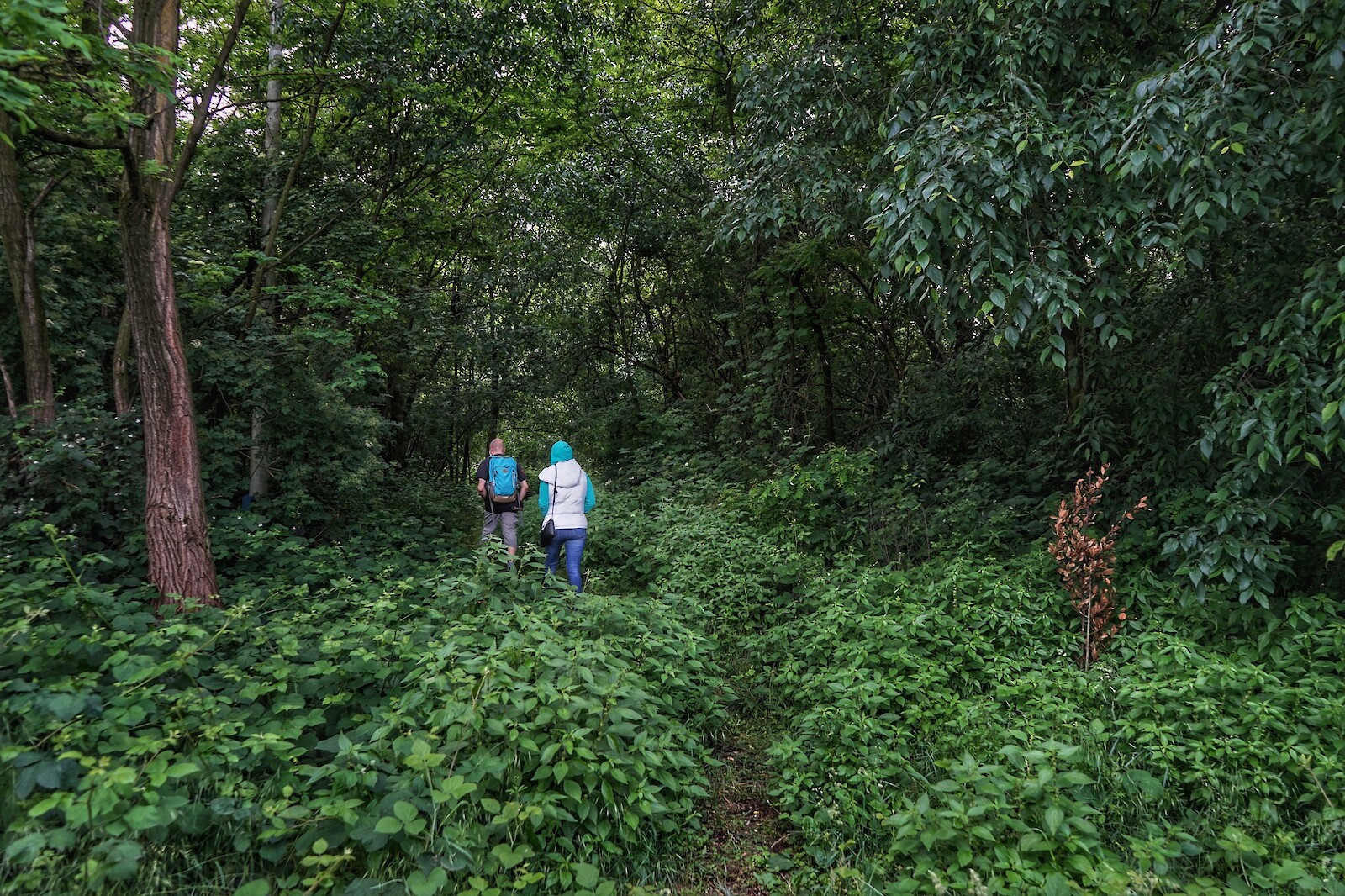 Interfacing Ecologies || Andrea Zaccuri & Lorenzo Fassi || 03 May 2023