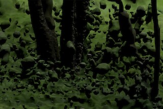 Take a glimpse at the “Sniffari Expanded” experience.