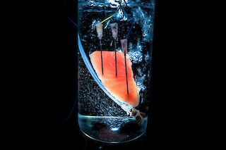 Ein Bioreaktor, in dem künstliches Lachsfilet gezüchtet wird.