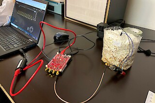 Experiment conducted with a researcher from BEL laboratory to test the abilities of fungi to communicate with electric signals.