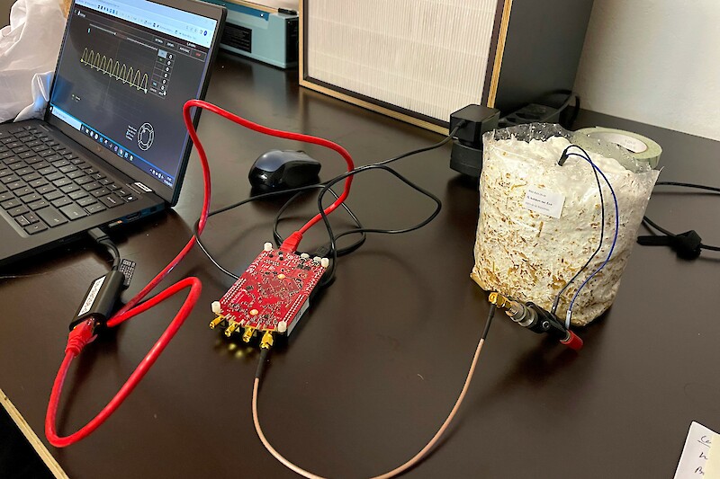 Experiment conducted with a researcher from BEL laboratory to test the abilities of fungi to communicate with electric signals.