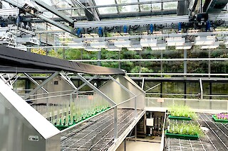 Automatic light machine inside an industrial plantation used for scientific experiments. A merge of technology and biology.