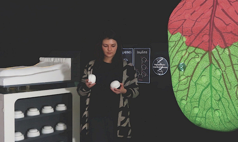 Interfacing Ecologies || Jill Scott || 25. September 2023