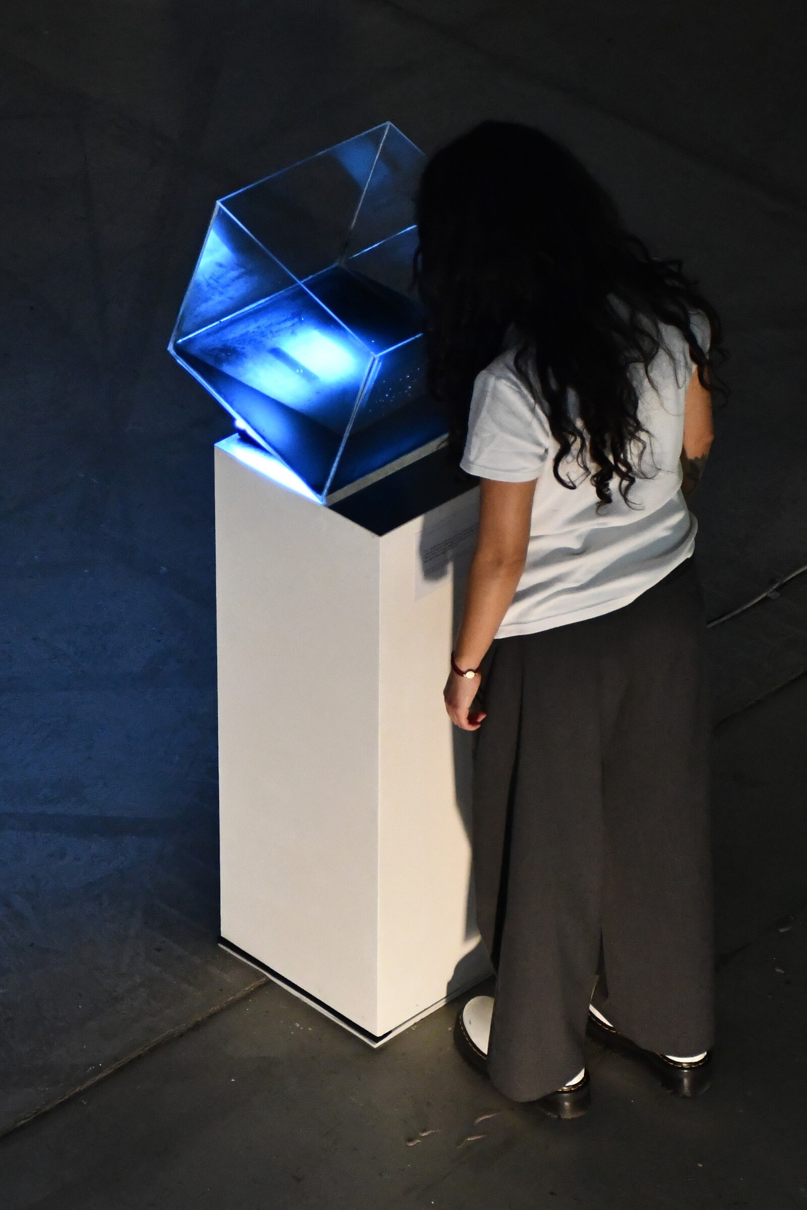 PollutionStream. Ayleen Friedrich & Laura Aponte. 2025