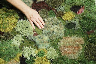 Multisensorischer Teppich. Waltenhofen. Mai 2024. Fotografiert von Rupert Volz