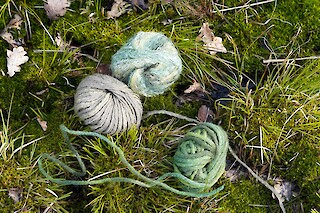 Wolle im Moor. Widdumer Moos. April 2024. Fotografiert von Riva Pinto