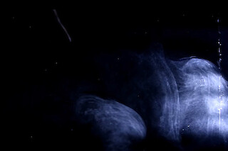 Snapshot from a Cloud chamber. Visualization of b particles