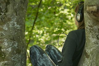 Participant immersing herself in a tree while listening to the voices of the forest, Safiental, May 2024, Photo taken by Niklas Kammel