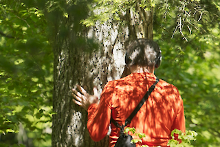 Entering into conversation with a tree, Safiental, May 2024, Photo taken by Niklas Kammel