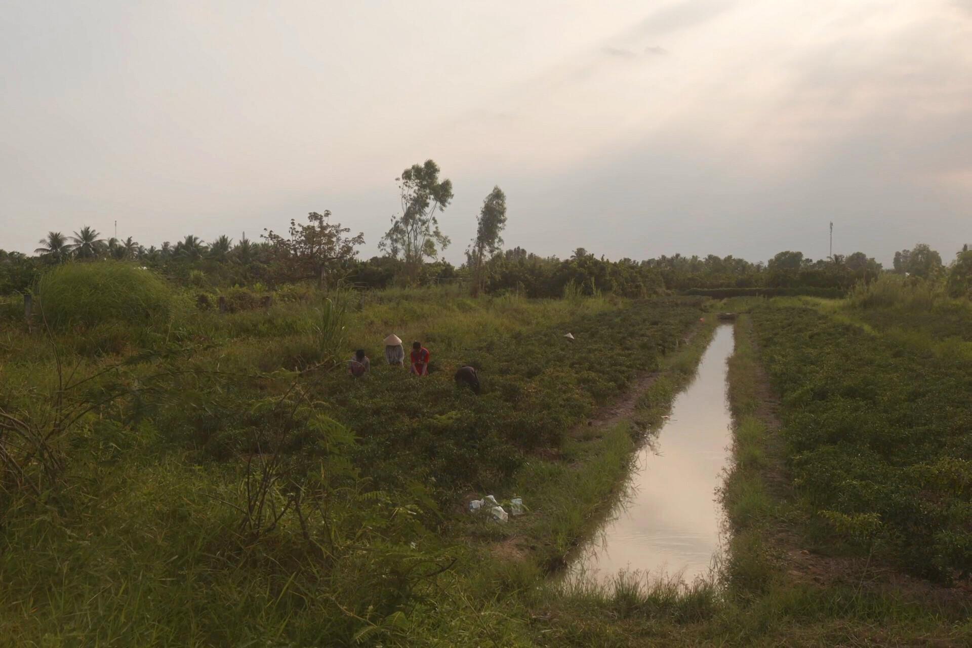 luc bình, nine dragons, one heaven and the meaning of life