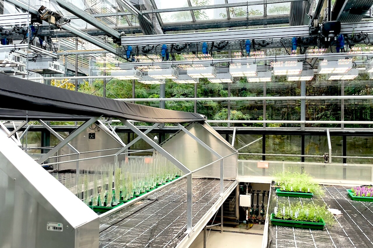 Automatic light machine inside an industrial plantation used for scientific experiments. A merge of technology and biology.