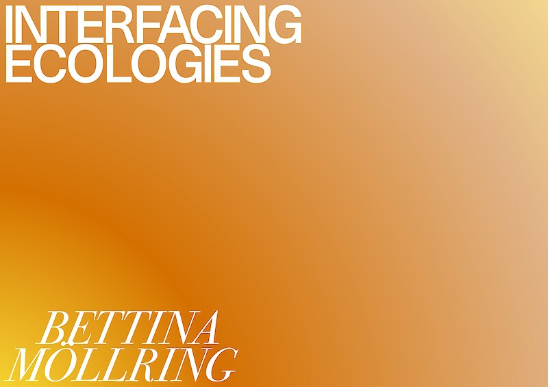 Interfacing Ecologies || Bettina Möllring || 28 November 2024
