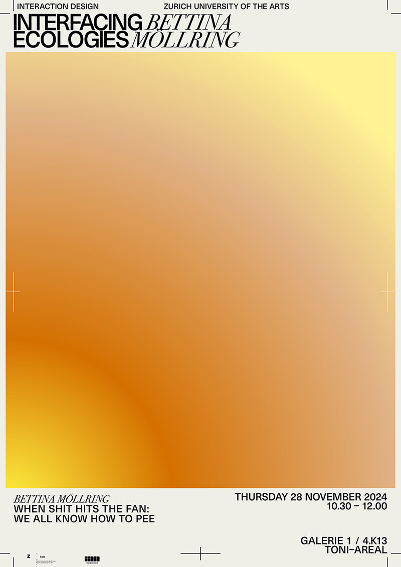 Interfacing Ecologies || Bettina Möllring || 28 November 2024