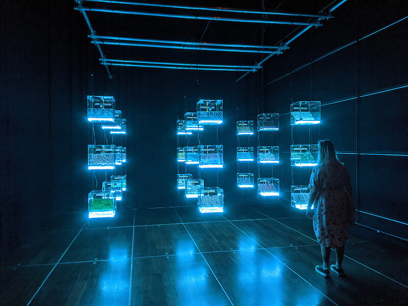 Ars Electronica Festival