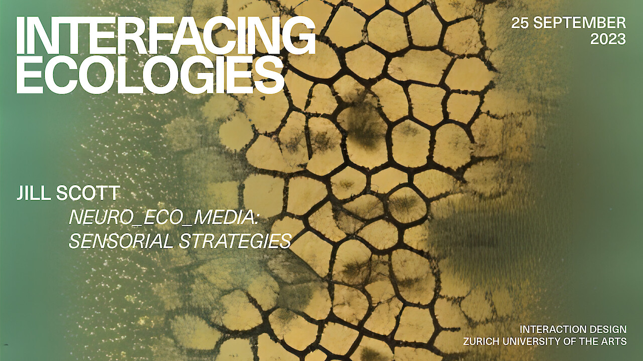 Interfacing Ecologies