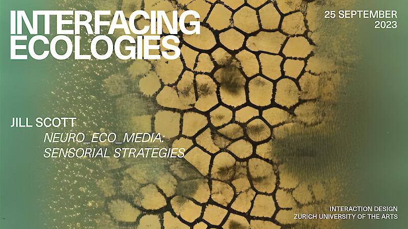 Interfacing Ecologies