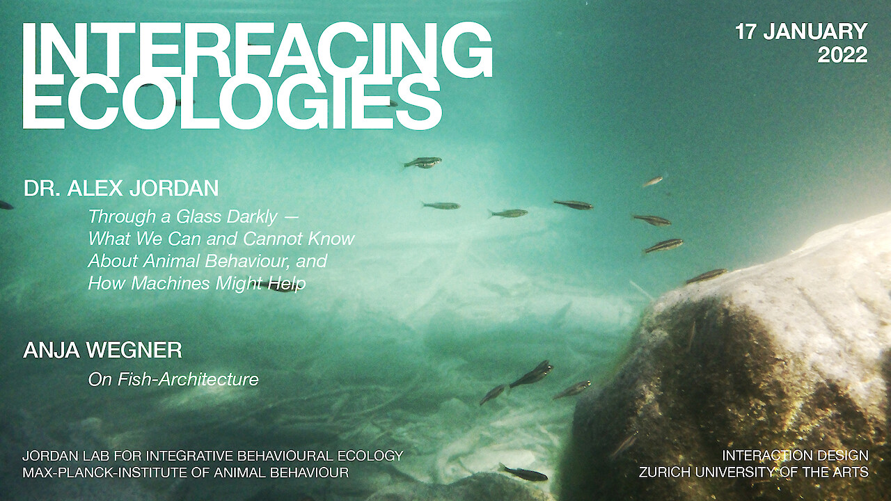 Interfacing Ecologies