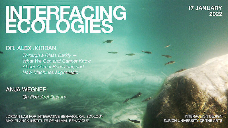 Interfacing Ecologies