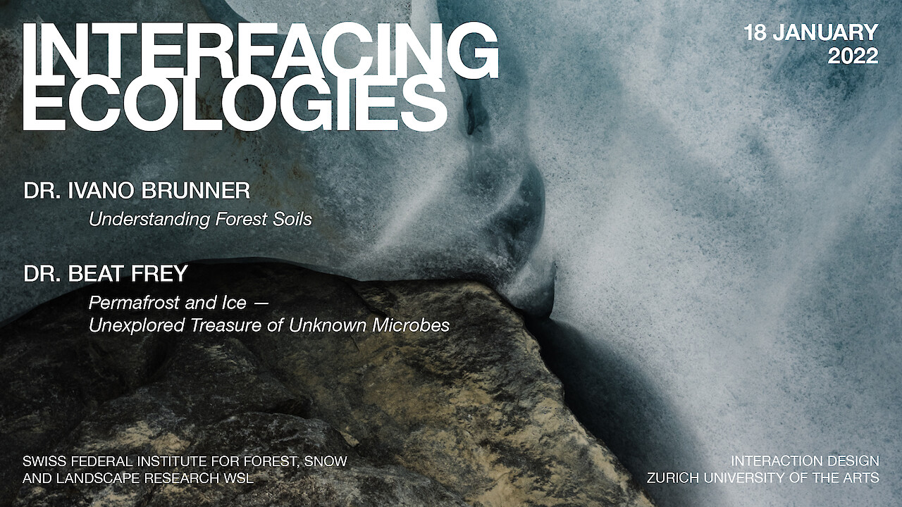 Interfacing Ecologies